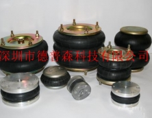 法國(guó)Pneumatis氣胎
